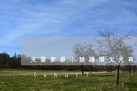 夫妻家暴小孩離婚(丈夫有家暴離婚孩子歸誰(shuí))