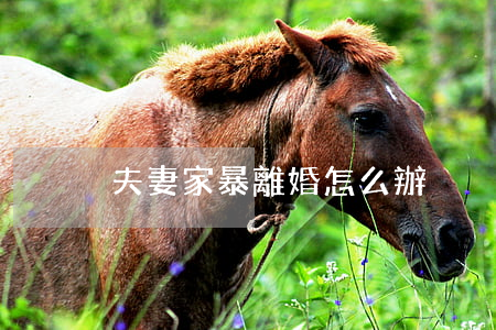 夫妻家暴離婚怎么辦