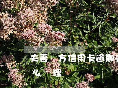 夫妻對方信用卡逾期(夫妻對方信用卡逾期怎么處理)