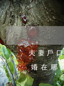 夫妻戶口異地怎么起訴離婚(異地夫妻起訴離婚在哪個(gè)法院)