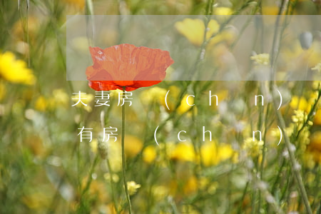 夫妻房產(chǎn)證沒離婚可以除名嗎(有房產(chǎn)證離婚按揭房除名)