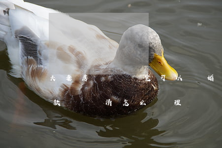夫妻房貸沒還完可以離婚嗎(夫妻離婚房子貸款沒還清怎么處理)