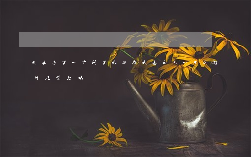 夫妻房贷一方网贷未逾期(夫妻之间一方逾期可以贷款吗)