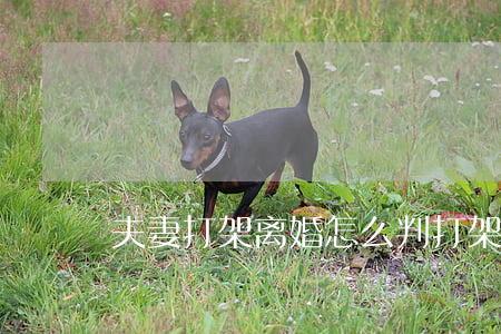 夫妻打架离婚怎么判(打架离婚怎么处理)