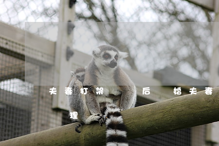 夫妻打架輕傷后離婚(夫妻打架致輕微傷如何處理)