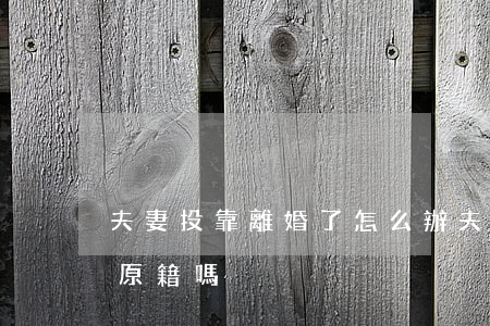 夫妻投靠離婚了怎么辦(夫妻投靠離婚戶口回原籍嗎)