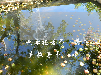 夫妻拖著不離婚會(huì)和好嗎(女方一直拖著不離婚)