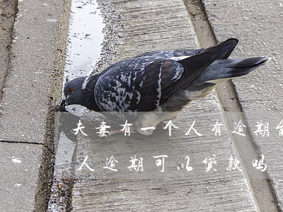 夫妻有一个人有逾期能办岱款吗-夫妻有一人逾期可以贷款吗