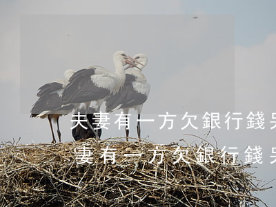 夫妻有一方欠銀行錢,另一方會有影響嗎-夫妻有一方欠銀行錢,另一方會有影響嗎