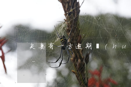 夫妻有一方逾期會(huì)扣另一方錢嗎-