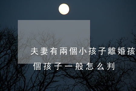 夫妻有兩個小孩子離婚孩子怎么判(離婚有兩個孩子一般怎么判)
