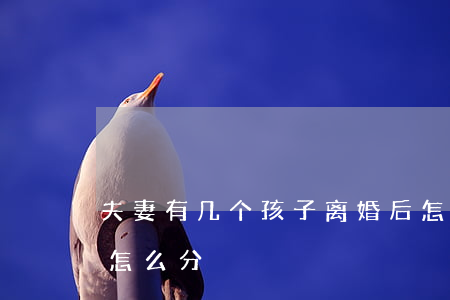 夫妻有几个孩子离婚后怎么分(离婚两个小孩怎么分)