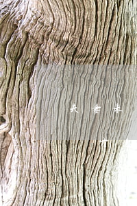 夫妻未離婚可以不給對方錢嗎(離婚沒有錢給對方怎么辦)