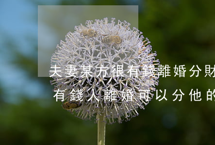 夫妻某方很有錢離婚分財產(chǎn)(和有錢人離婚可以分他的財產(chǎn)嗎)