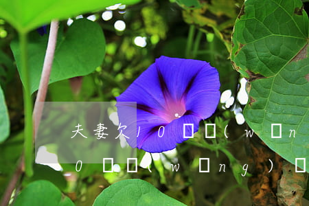 夫妻欠10萬網(wǎng)貸買房(欠了10萬網(wǎng)貸買房還可以貸款嗎)