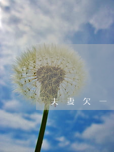 夫妻欠一方信用卡算共同債務(wù)嗎-