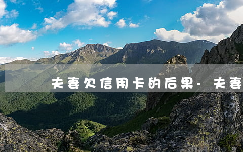 夫妻欠信用卡的后果-夫妻欠信用卡的后果