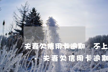 夫妻欠信用卡逾期還不上會(huì)怎么樣-夫妻欠信用卡逾期還不上會(huì)怎么樣嗎