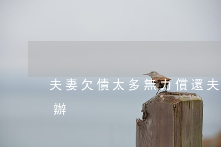 夫妻欠債太多無力償還(夫妻欠了很多錢怎么辦)