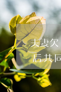 夫妻欠債法院后兩個人可以離婚嗎(夫妻離婚后共同債務法院會怎么判決?)