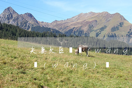 夫妻欠巨額網(wǎng)貸(妻子欠下巨額網(wǎng)貸)