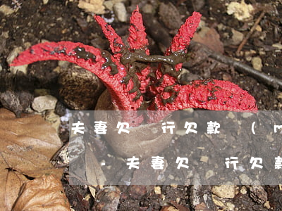 夫妻欠銀行欠款沒(méi)有還可以離婚嗎-夫妻欠銀行欠款沒(méi)有還可以離婚嗎怎么辦