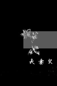 夫妻欠錢起訴狀