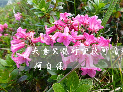 夫妻欠银行贷款可以离婚吗(丈夫欠债妻子如何自保)