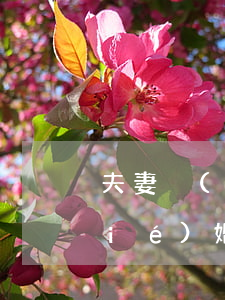 夫妻沒(méi)有生活可以離婚么(結(jié)婚沒(méi)有夫妻生活怎么離婚)