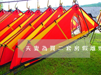 夫妻為買二套房假離婚