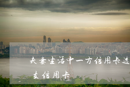 夫妻生活中一方信用卡透支(丈夫一方恶意透支信用卡)