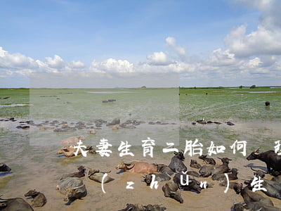 夫妻生育二胎如何辦理準(zhǔn)生證（準(zhǔn)生證該什么時(shí)候辦）
