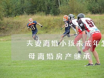 夫妻离婚小孩未成年怎么继承(小孩未成年父母离婚房产继承)