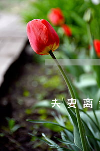 夫妻离婚带小孩怎么办