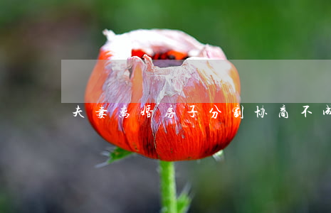 夫妻离婚房子分割协商不成，只能起诉离婚