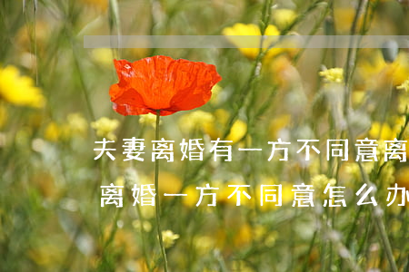 夫妻离婚有一方不同意离婚怎么办(夫妻一方离婚一方不同意怎么办)