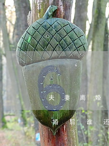 夫妻离婚结婚时债务由谁还(夫妻欠下的债离婚后谁还)