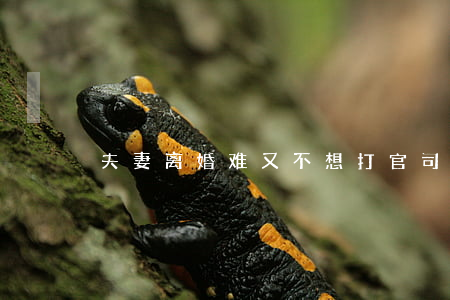 夫妻离婚难又不想打官司怎么办
