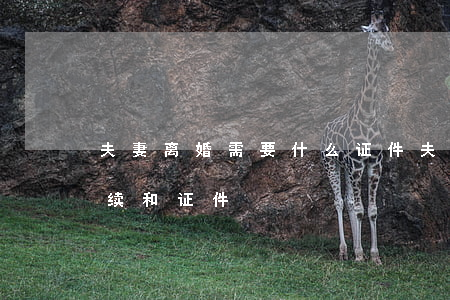 夫妻离婚需要什么证件(夫妻离婚需要什么手续和证件)