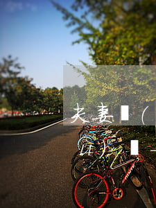 夫妻續(xù)貸有一方欠信用卡能續(xù)嗎-夫妻續(xù)貸有一方欠信用卡能續(xù)嗎怎么辦