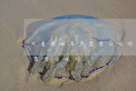 夫妻继承房产需要公证吗(房产过户遗嘱继承需要公证吗)