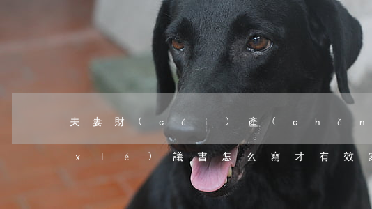 夫妻財(cái)產(chǎn)分割協(xié)議書怎么寫才有效(家庭財(cái)產(chǎn)分割協(xié)議書怎么寫才有效)