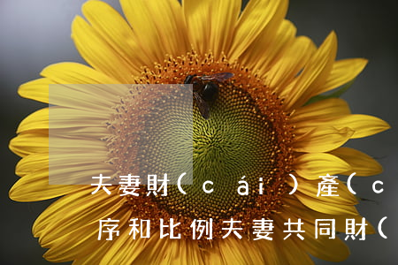 夫妻財(cái)產(chǎn)繼承的順序和比例(夫妻共同財(cái)產(chǎn)繼承順序及比例)