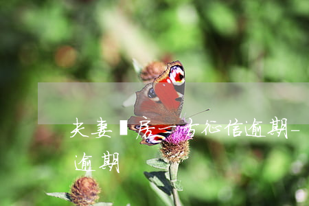 夫妻買房一方征信逾期-夫妻買房一方征信逾期