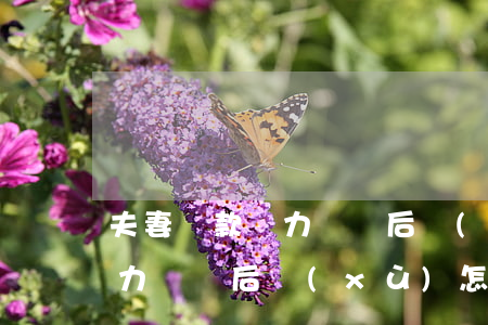 夫妻貸款無力償還后續(xù) 夫妻貸款無力償還后續(xù)怎么辦
