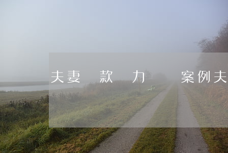 夫妻貸款無力償還案例(夫妻名義貸款還不上)