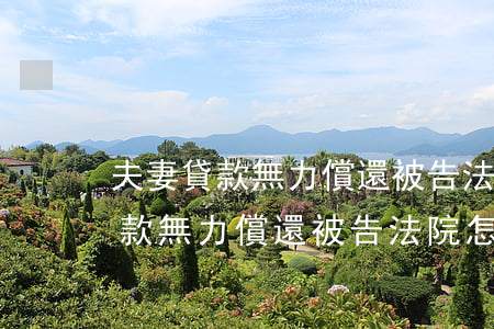 夫妻貸款無力償還 被告法院怎么辦-夫妻貸款無力償還被告法院怎么辦