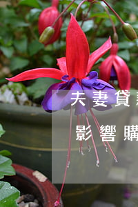夫妻貸款買房一方有逾期(夫妻一方征信逾期影響購(gòu)房貸款嗎)