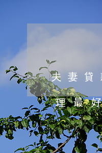 夫妻貸款逾期怎么處理(夫妻貸款逾期怎么處理最好)
