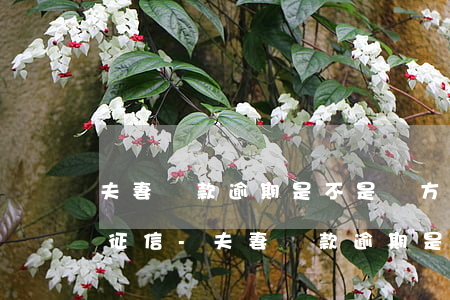 夫妻貸款逾期是不是雙方都會(huì)上征信-夫妻貸款逾期是不是雙方都會(huì)上征信報(bào)告
